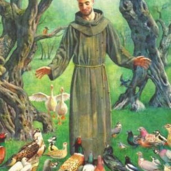 Sistema di Terapia per Animali di San Francesco d'Assisi